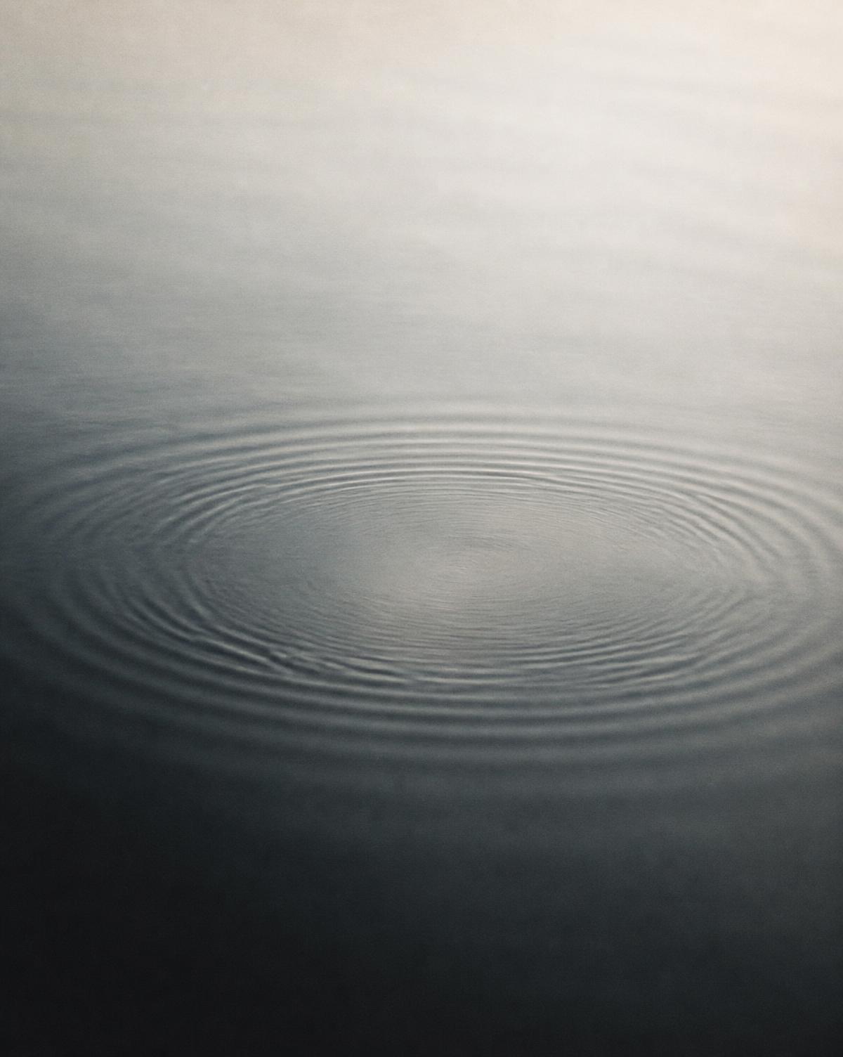 A single slow ripple widening across still water
